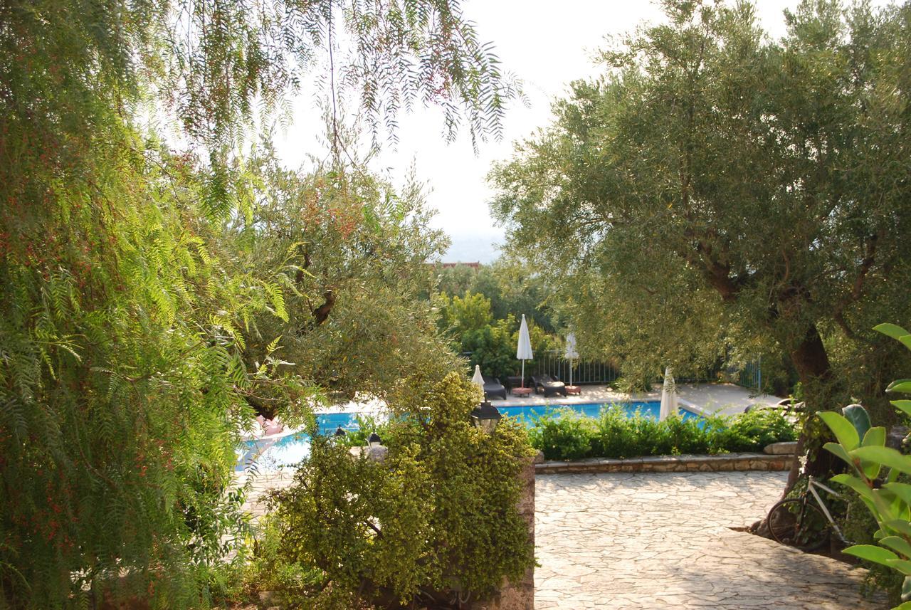 Hotel Anatoli Labreon Agia Marina  Zewnętrze zdjęcie