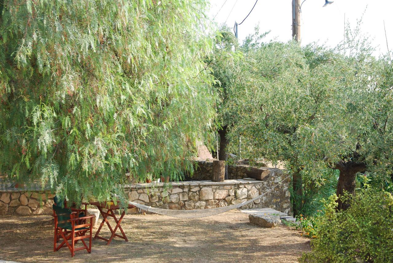 Hotel Anatoli Labreon Agia Marina  Zewnętrze zdjęcie