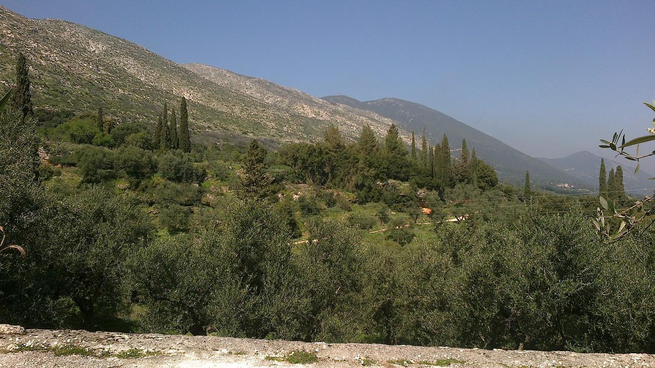 Hotel Anatoli Labreon Agia Marina  Zewnętrze zdjęcie
